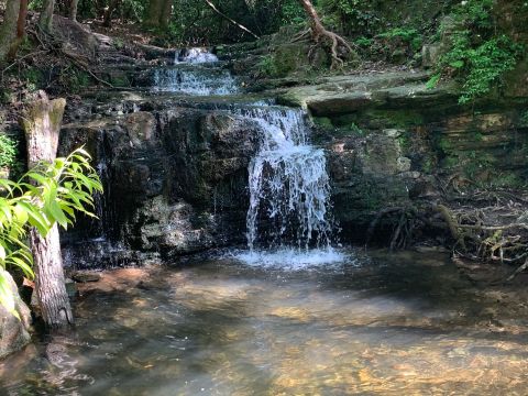 With More Than 9,000 Acres To Explore, Georgia's Largest State Park Is Worthy Of A Multi-Day Adventure