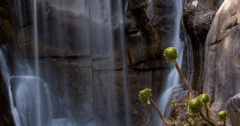 These 10 Epic Waterfalls Near San Francisco Will Take Your Breath Away