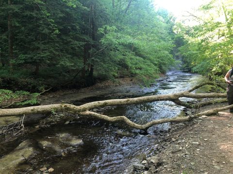 Everyone In Indiana Should Visit The Epic Pine Hills Nature Preserve As Soon As Possible