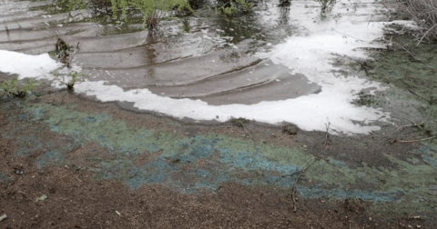 You May Not Want To Swim In These 3 Idaho Lakes This Summer Due To A Dangerous Discovery