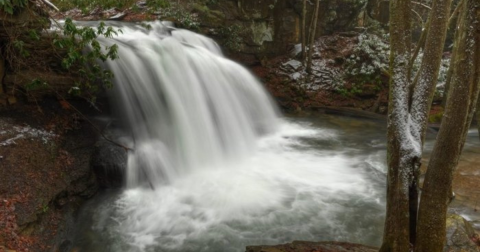 This Quarter Mile Hike In West Virginia Leads To The Dreamiest Swimming Hole