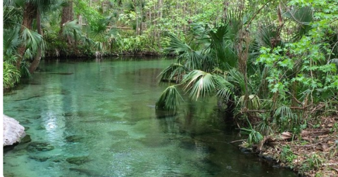 This 3,000-Foot Florida Lazy River Has Summer Written All Over It