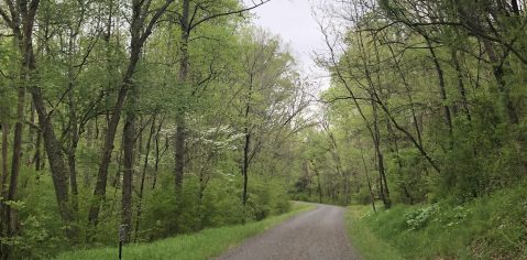 Follow This Abandoned Railroad Trail For One Of The Most Unique Hikes In Tennessee