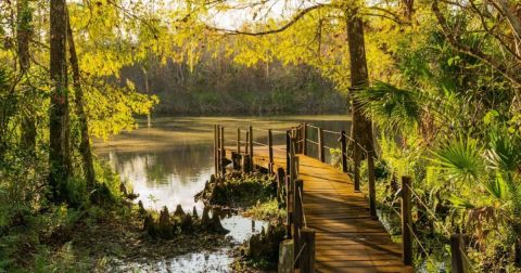 With More Than 85,000 Acres To Explore, Florida's Largest State Park Is Worthy Of A Multi-Day Adventure