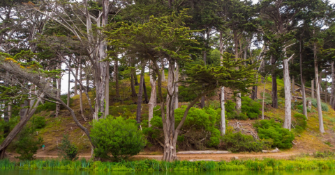 10 Easy Hikes To Add To Your Outdoor Bucket List In San Francisco