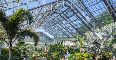 Lauritzen Gardens In Omaha Has The Best Greenhouse In Nebraska