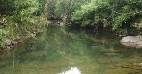 These Secret Swimming Holes Hidden In The Hawaiian Forest Are Sure To Dazzle You