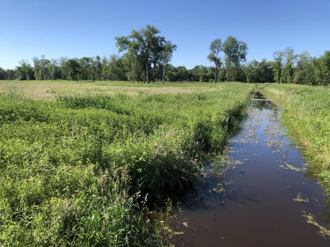 Take A Boardwalk Trail Through The Wetlands Of Blaine Wetland Sanctuary In Minnesota