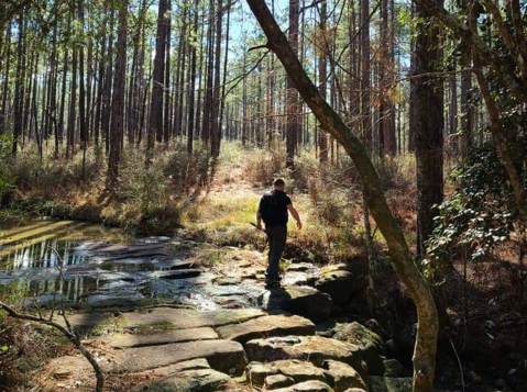 You Can Hear Yourself Think On The Remote Caroline Dormon Trail In Louisiana