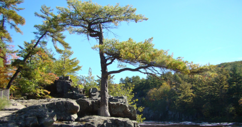 12 Amazing Minnesota Hikes Under 3 Miles You'll Absolutely Love