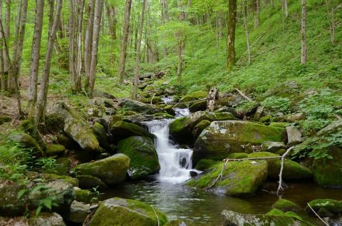 You Can Hear Yourself Think On The Remote Overmountain Victory Trail In Tennessee