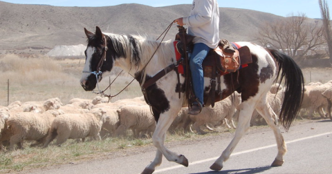 Here Are 12 Words That You'll Only Understand If You're From Wyoming