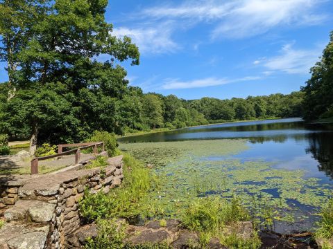 The Underrated Salmon River Trail Loop Trail In Connecticut Leads To A Hidden Turquoise Lake