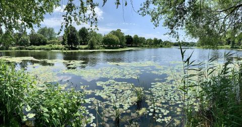 The Hike To Illinois' Pretty Little Lake Katherine Is Short And Sweet