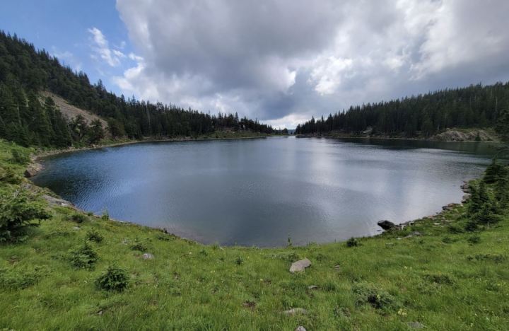 Lost Lake in New Mexico in spring is surrounded by green foliage and distant trees