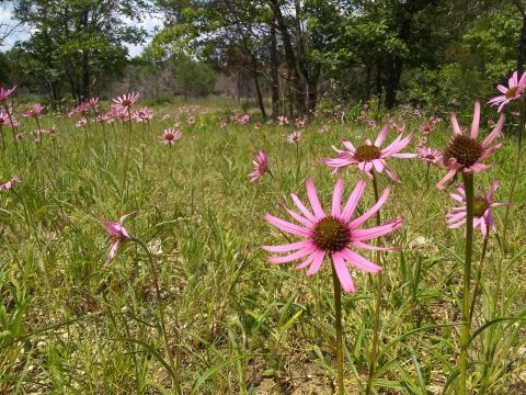 Explore Nashville's Famed Natural Beauty At This Underrated State Park