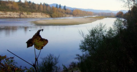 Most People Have No Idea This Underwater City In Washington Even Exists