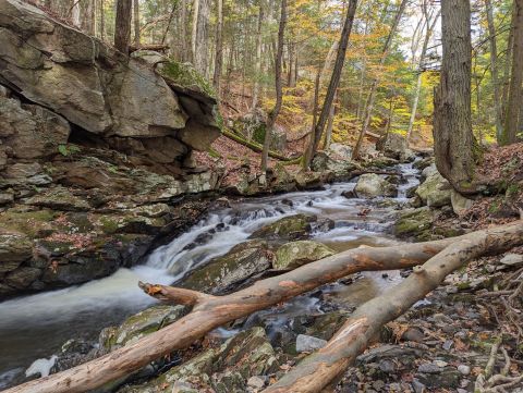 This Park In Connecticut With A Lake, Trails, And Campground Truly Has It All