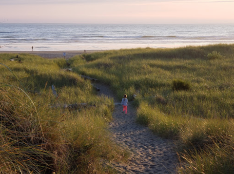 Explore Washington's Quiet Coastline At This Underrated State Park