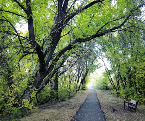 The One-Of-A-Kind Cherry Springs Nature Area In Idaho Is Absolutely Heaven On Earth