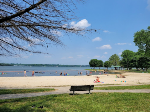 The One Beach In Tennessee Where You Can Drive Right Up To The Water