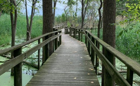 Take A Boardwalk Trail Through The Wetlands Of Maumee Bay State Park In Ohio