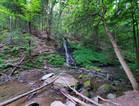 With More Than 64,000 Acres To Explore, New York's Largest State Park Is Worthy Of A Multi-Day Adventure