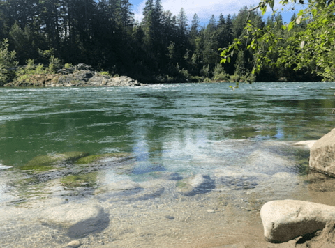 This Popular Swimming Hole In Washington Will Make You Feel Like A Kid On Summer Vacation