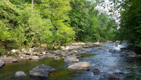 This Swimming Hole At These Ruins In Georgia Will Make You Feel Like A Kid On Summer Vacation