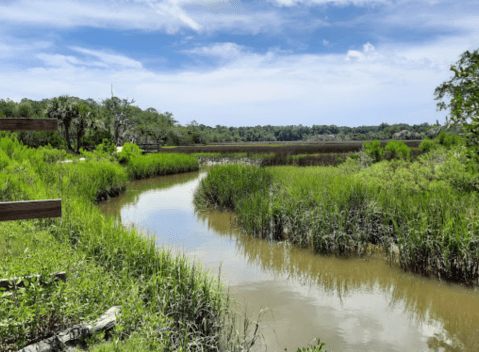 7 Lesser-Known State Parks In Georgia That Will Absolutely Amaze You