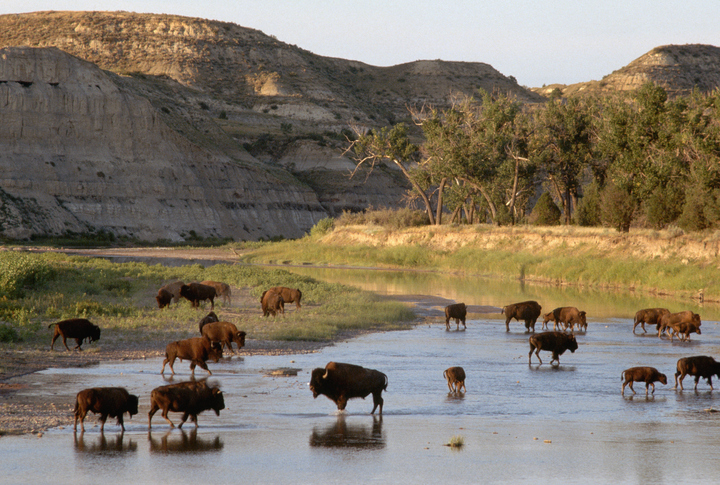 North Dakota banner image