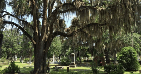 One Of The Most Haunted Cemeteries In Alabama Is Also One Of The Most Beautiful