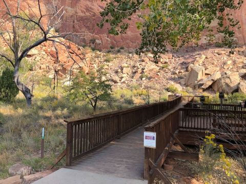 Take A Boardwalk Trail Near Petroglyphs At Capitol Reef National Park In Utah