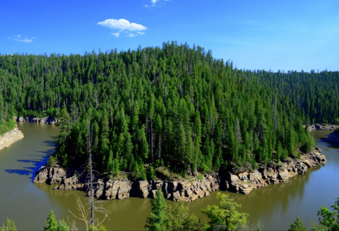 With Only 10 Campsites, The Blue Ridge Campground In Arizona Offers A Remote Forest Escape