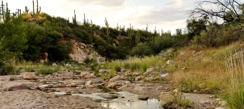 With More Than 5,000 Acres To Explore, Arizona's Largest State Park Is Worthy Of A Multi-Day Adventure