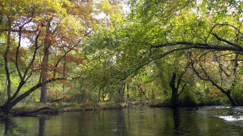 There's Almost Nothing In Life A Day On New Jersey's Egg Harbor River Can't Cure