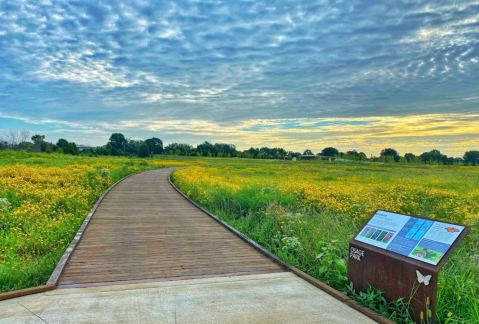 Take A Floating Boardwalk Trail Through The Wetlands Of Osage Park In Arkansas