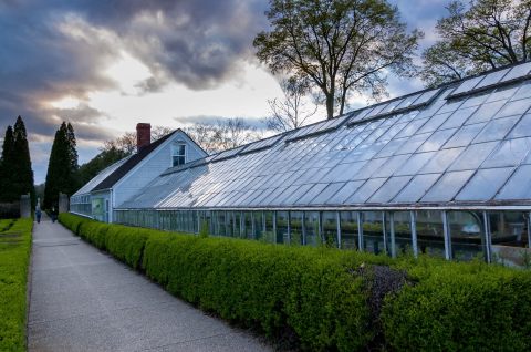 Nestled In The Middle Of A Greenhouse, This Tiny Illinois Cafe Is An Enchanting Day Trip Destination