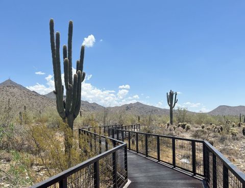 Take A Boardwalk Trail Through The Mountains Of The McDowell Sonoran Preserve In Arizona