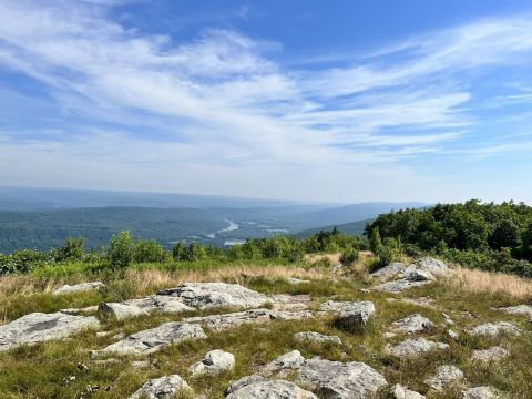 The One-Of-A-Kind Worthington State Forest In New Jersey Is Absolutely Heaven On Earth