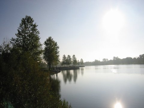 Take A Paved Loop Trail Around This Illinois Lake For A Peaceful Adventure