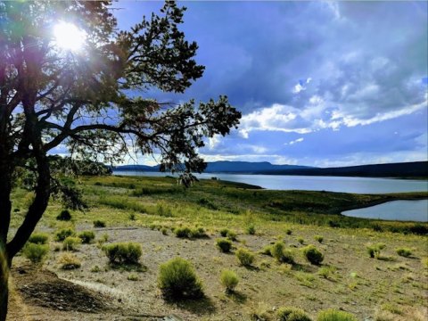 The Cleanest Lake In New Mexico Is Ideal For Your Next Summer Dip