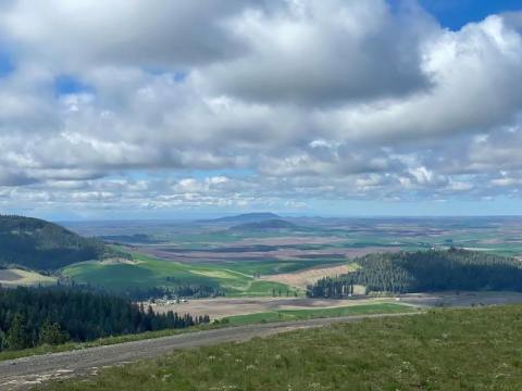 Explore Idaho’s Palouse At This Underrated State Park