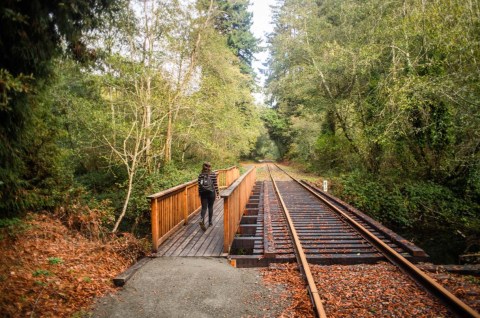 There's A Brand New Hiking Trail In Northern California And It Takes You Through The Ancient Redwood Forest