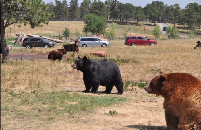 South Dakota banner image