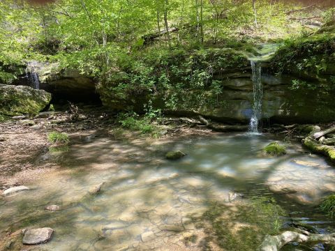 Rebman Trail Is A Beginner-Friendly Waterfall Trail In Illinois That's Great For A Family Hike