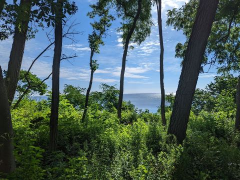 With Bridges And Stairways, The Scenic Seven Bridges Trail In Wisconsin Is Unexpectedly Magical