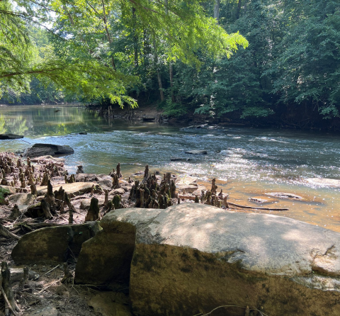 This Creek Is Located At One Of Mississippi's Most Popular State Parks, And It's A Total Hidden Gem