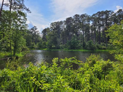 The 3.5 Mile Hike Around The Indian Creek Reservoir In Louisiana Is Short And Sweet