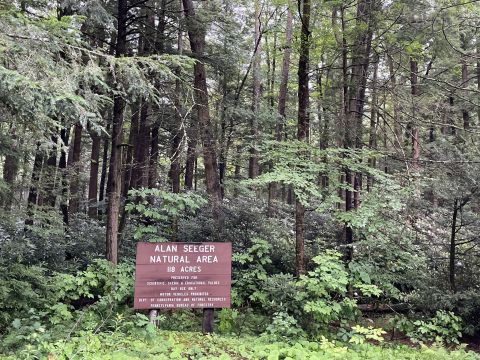 Stroll Over Footbridges And Marvel At Magnificent Old-Growth Giants On This Fairytale Trail In Pennsylvania